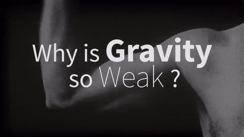 Gravity Stem GIF by Washington University in St. Louis