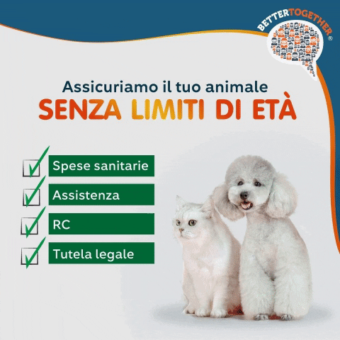 BetterTogether_Italia giphygifmaker assicurazione animali pets speseveterinarie rc tutela assistenza GIF