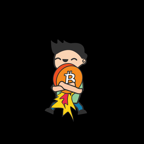 coinvestasi giphyupload crypto bitcoin fly GIF