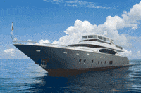 fyiyachts  GIF