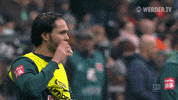 Germany Football GIF by SV Werder Bremen