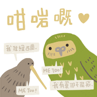 Wildlife Kiwi Sticker