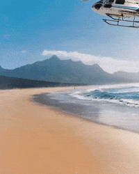 Speaker Of The House Papaya GIF by Respective