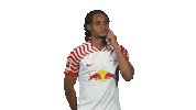 Wondering Rb Leipzig Sticker by Bundesliga