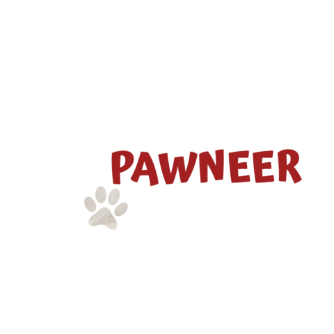 haldiramsnagpur ready to eat frozen food paneer chole Sticker