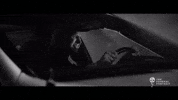 Driving Valentines Day GIF by Better Noise Music