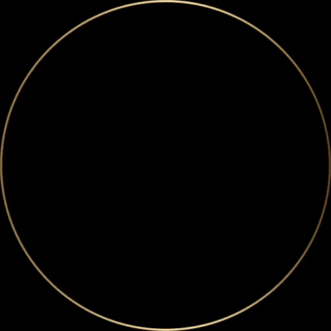 wildatlanticdistillery vodka gin whiskey whisky GIF