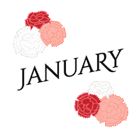 Flowers January Sticker by Erstwilder