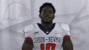 Carson Newman Football GIF by Carson-Newman Athletics