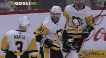 Happy Ice Hockey GIF by NHL