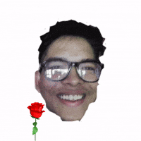 Rose Pp GIF