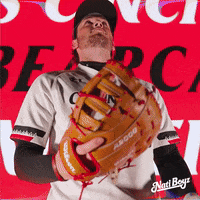 College Baseball GIF by Cincinnati Bearcats