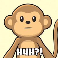 Confused No Idea GIF by Wise Monkey Meme