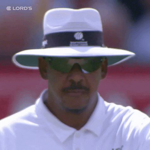 London Yes GIF by Lord's Cricket Ground