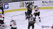 happy ice hockey GIF by NHL