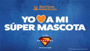 Adopt Best Friends GIF by Best Friends Animal Society