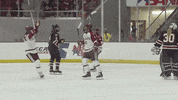 Celebration Goal GIF by Colgate Athletics