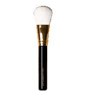 yanaproviz makeup foundation makeup brush yp Sticker