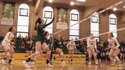 Kill GIF by NDSU Athletics