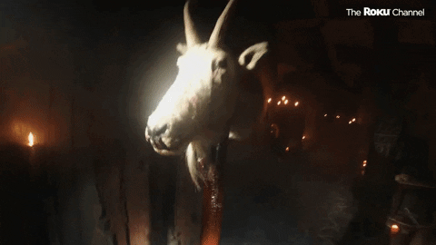 50 States Of Fright GIF by The Roku Channel