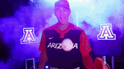 Baseball Hype GIF by NCAA Championships