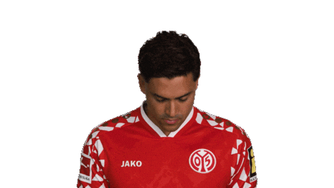 Look Up Mainz 05 Sticker by Bundesliga