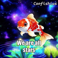 Stars Glow GIF by TheConfishius