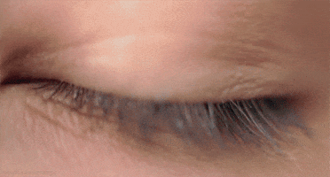 eye iris GIF by Head Like an Orange