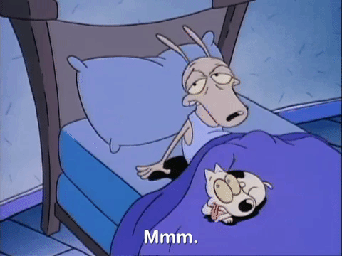 rockos modern life nicksplat GIF