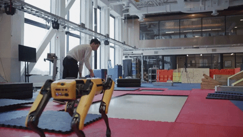 Robot Spot GIF by BostonDynamics