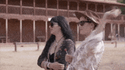 Gntmgr GIF by Star Channel TV