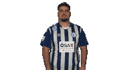 Fc Magdeburg Yes Sticker by Bundesliga