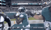 Philadelphia Eagles Football GIF by NFL