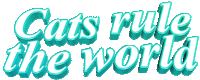 cat text Sticker