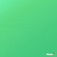Party GIF by Baterias Heliar