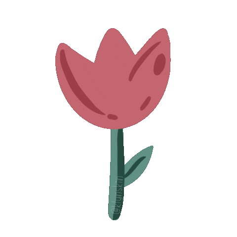 klynskin skincare flor kbeauty tulipan Sticker