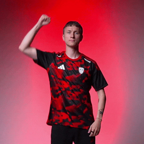 Czech Bjp GIF by SINNERS Esports