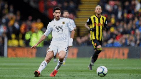 elsolde_mexico giphygifmaker premier league wolves wolverhampton GIF