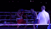 EUSU boxing edinburgh Fight Night fightnight GIF