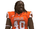 Superman Head Shake Sticker by Carson-Newman Athletics
