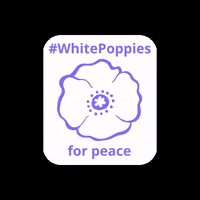 PeacePledgeUnion peace remembrance pacifist remembrance day GIF