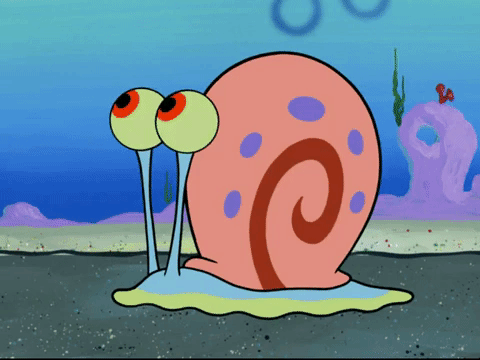 season 7 keep bikini bottom beautiful GIF by SpongeBob SquarePants