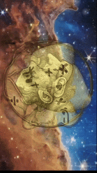 Fleus GIF