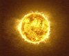 sun GIF by Feist