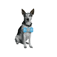 Hulphondnederland bot qr hond qr code Sticker