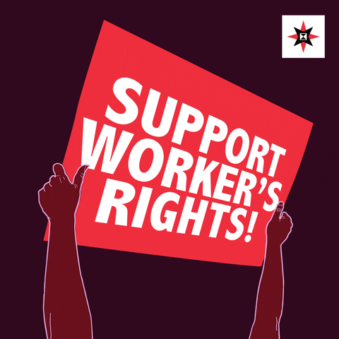 AFSC giphyupload GIF