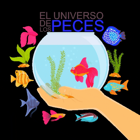 Fish Plantas GIF by eluniversodelospeces