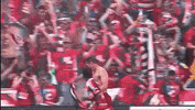 excited lets go GIF by Major League Soccer