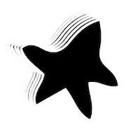 KINDERFESTIVAL star minimalism stern shooting star Sticker