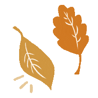 Apple Cider Fall Sticker by Kelsey Davis